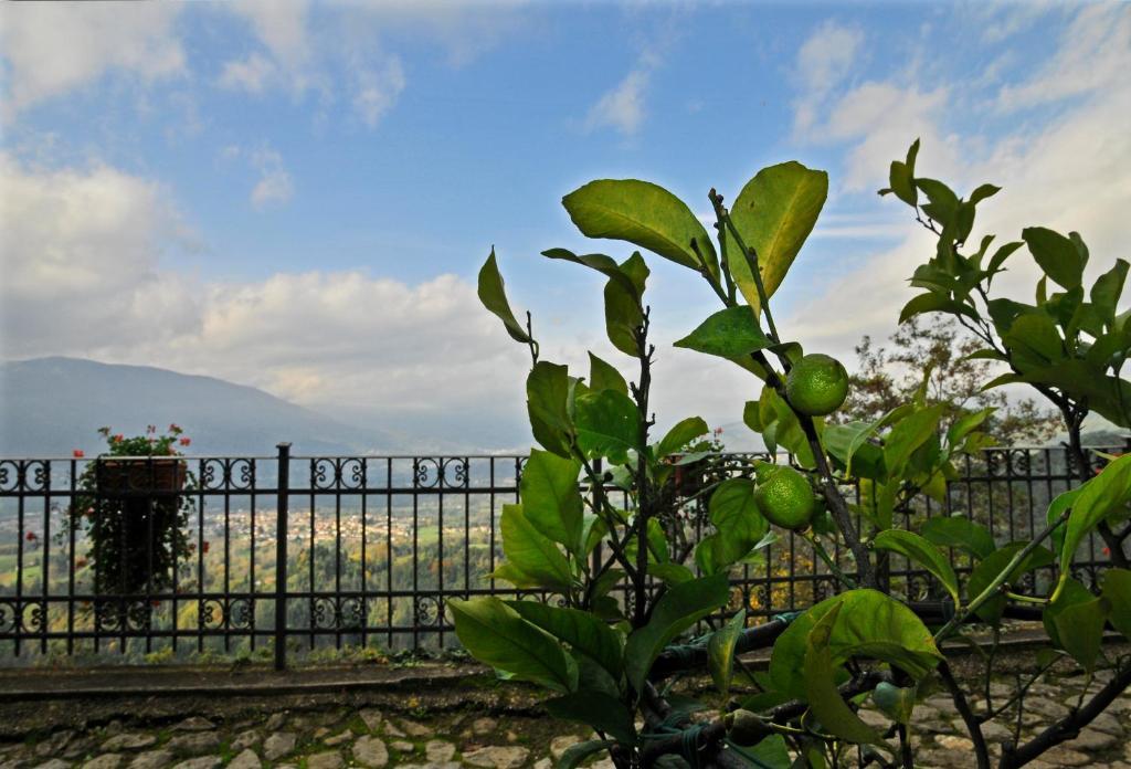 Casa Vacanze Le Muse Sillico Pieve Fosciana Exteriör bild